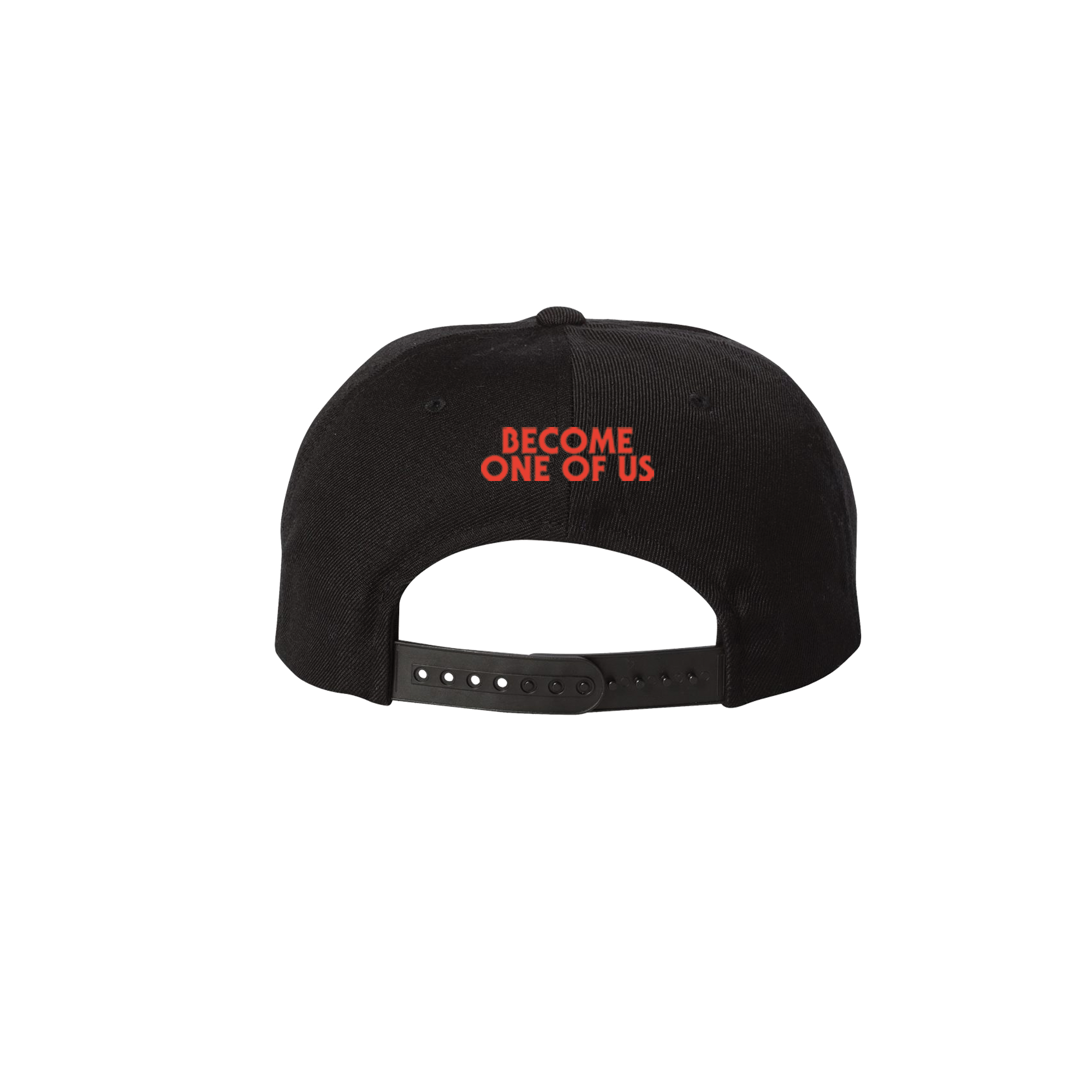 LSB LOGO CAP