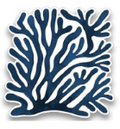 SOU CORAL STICKER