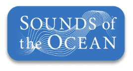 SOU LOGO STICKER