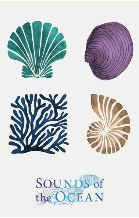 SOU SHELLS POSTCARD