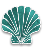 SOU SHELL STICKER