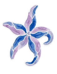 SOU STARFISH STICKER