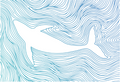 SOU WHALE POSTCARD