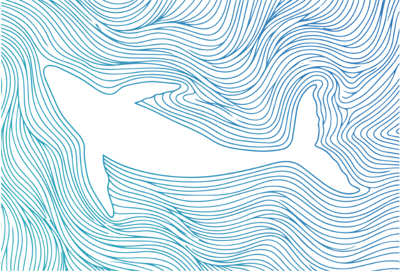 SOU WHALE POSTCARD