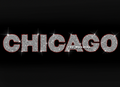 CHI Logo Magnet